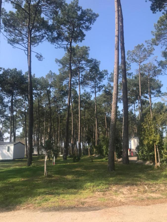 Escape Mobilhome Aux Dunes De Contis سان جوليان-أون-بورن المظهر الخارجي الصورة